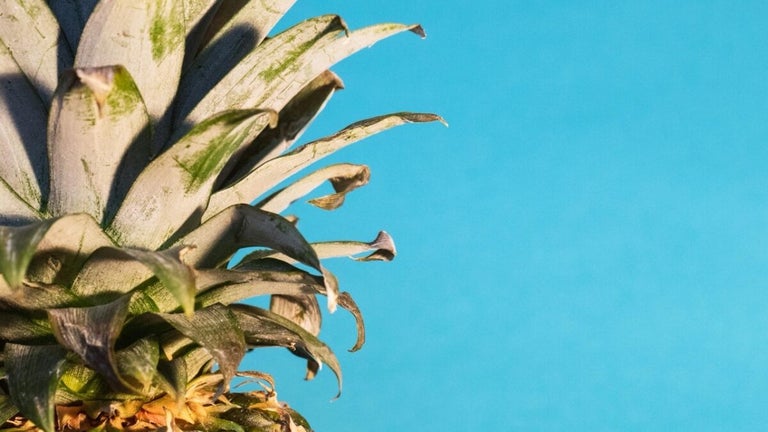 Wi-Fi Pineapple: What it is and how to protect yourself from cyberattacks