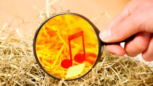 6 canciones que ocultan secretos increíbles